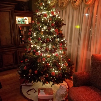 At Christmas Time (feat. William Bausch) - Single