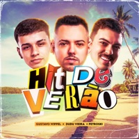 MEGA HIT DE VERÃO - Single - DJ Dudu Vieira, DJ Gustavo Wippel SC & DJ Petroski