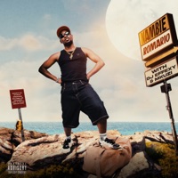 Basi Nambie - Single - Romario, DJ Effexy & Mkuzi