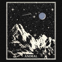 Animal - Single - djjxxl