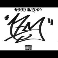 HOOD MELODIES (feat. Flawzkidd & Meek_Blxckson) - Single - 1709 Records