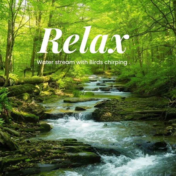 Soothing Water Stream_Nature Sounds for Calm Mind