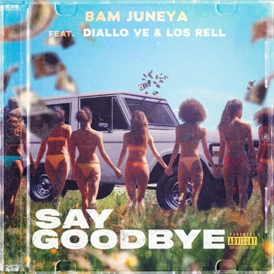 Say Goodbye (feat. Diallo Ve & Los Rell) - Single