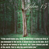 John 15