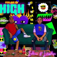 Feeling So High (feat. Iredious) - Single - Lakezzdope
