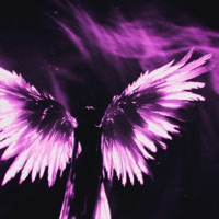 Шрамы (prod. by msblack, killtrip) - Single - байтриггер