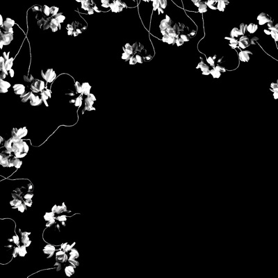 Bindu - EP