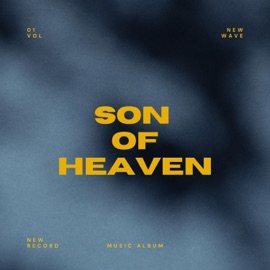 Son of heaven Sublime Elevation