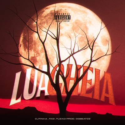 Lua Cheia (feat. OGBeatzz) - Single
