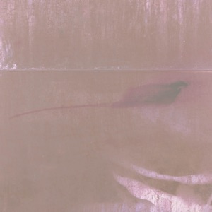 Nocturne for a Ghost Ship - Single