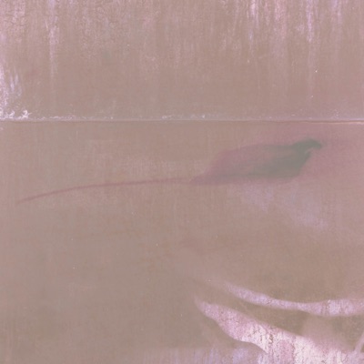 Nocturne for a Ghost Ship - Single