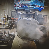 Smoke (feat. Blesstheplaya) - Single - Goodie