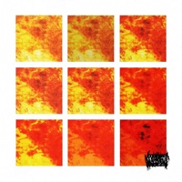 Fashion Forward - Single - Diorvsyou