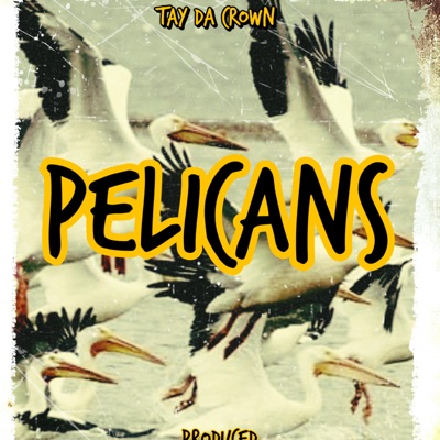 Pelicans - Single