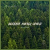 Increase Energy Levels