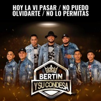 Hoy La Ví Pasar / No Puedo Olvidarte / No Lo Permitas - Single - Bertín y su Condesa