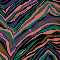 WRAPPIN' — EGO