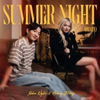 Summer Night (Remix) - Single - Xuân Nghi & Hoàng Dũng