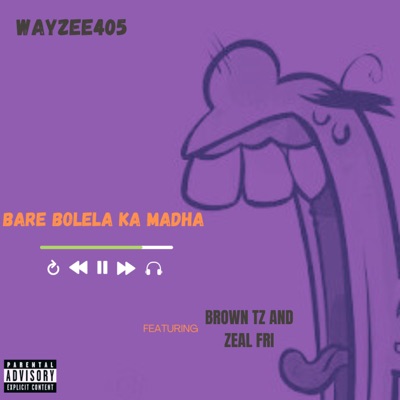 Bare bolela ka madha (feat. Brown Tz & zeal fri) - Single