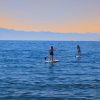 dreaming - Single - Mr. Hong