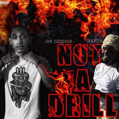 Not a Drill (feat. Ceeyo) - Single