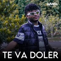 Te Va Doler - Single - Hamil
