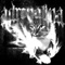 ADRENALINA - P H O N K ジ A R O U N D & wnorg17 lyrics