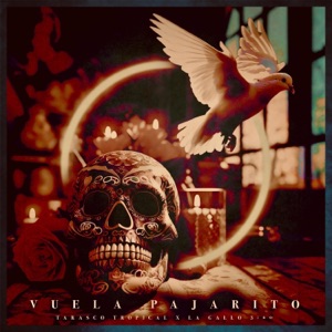 Vuela Pajarito (feat. Jhonivan, El Dusty, Ese Oni & Príncipe Q) - Single