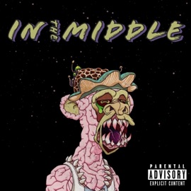 InTheMiddle Milli D