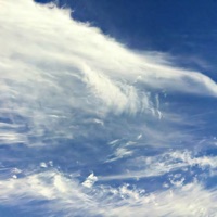 The Dream - Single - Akshay