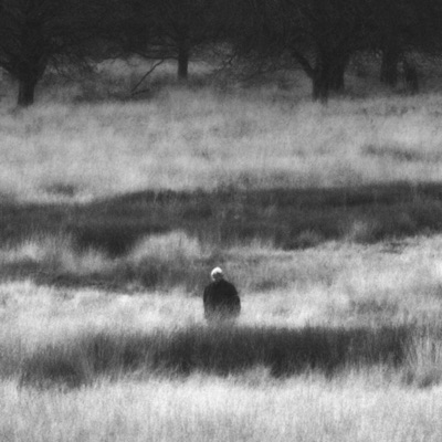 Eternal sunshine - Single