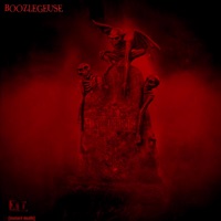 BOOZLEGEUSE - Single - Boozle