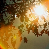 suns burnt out - Single - JAYJ