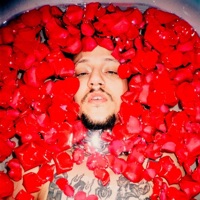 Rose Petals :-)-: - Single - TrippJones & Nedarb