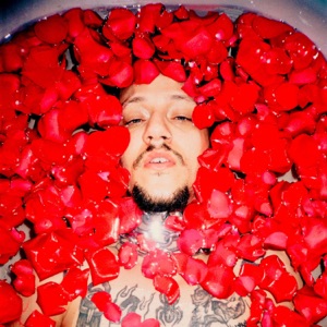 Rose Petals :-)-: