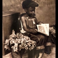 CASSEROLE (feat. elijahamir!) - Single - SYAH