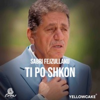Ti po shkon - Single - Sabri Fejzullahu