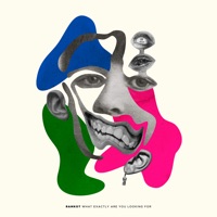 What Exactly Are You Looking for - - EP - Ramkot