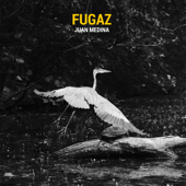 Fugaz