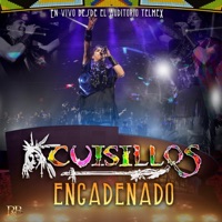 Encadenado (En Vivo) - Single - Cuisillos De Arturo Macias