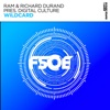 Wildcard cover art