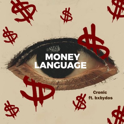 Money Language (feat. Bxbydos) - Single