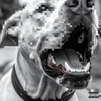 FARCELA - Single