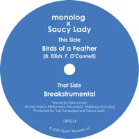 Birds of a Feather — Saucy Lady