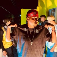 No me para - Single - Pollo Zpt