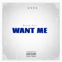 Want Me - Single - Meech Entx