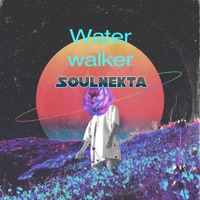Water Walker - Single - Soulnekta