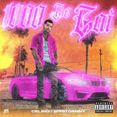 1000 de Cai (feat. DNZSB) - Single