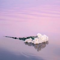 مش داري (feat. عِف ستار & خالد الضيفي) - Single - Aley Mustapha