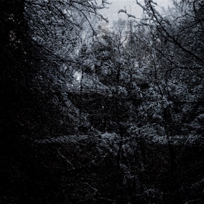 feeling detachment - Single